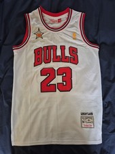 Chicago Bulls, Jordan 23
