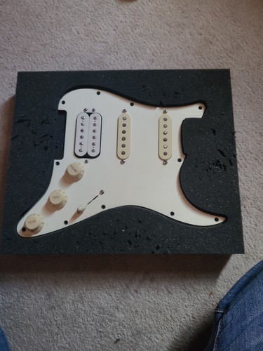 Loaded fender stratocaster - loaded,