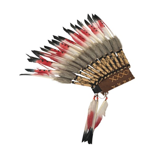 Chief indian feather - indian, headdress
