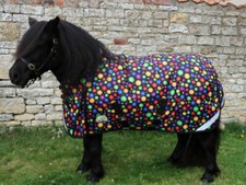 Shetland-Miniature-Donkey 400g