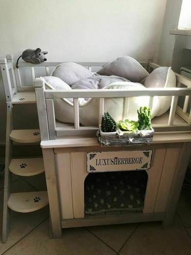 Outdoor cat dog den - outdoor,