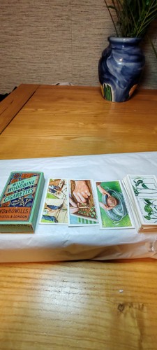 Wild woodbine vintage - wild,