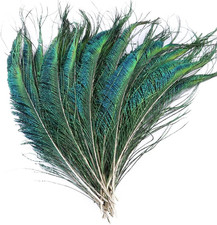 40 Pcs Peacock Sword Feathers