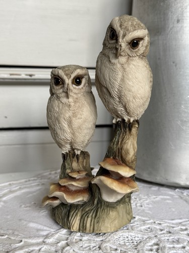 Teviotdale owls - teviotdale,