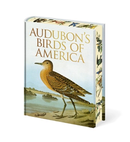 Audubon birds america by - birds,
