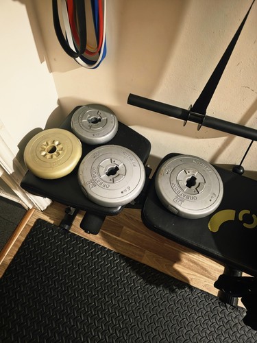 Challenger orbatron weights - challenger,