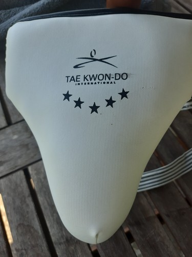 Tagb taekwondo sparring mens - taekwondo,