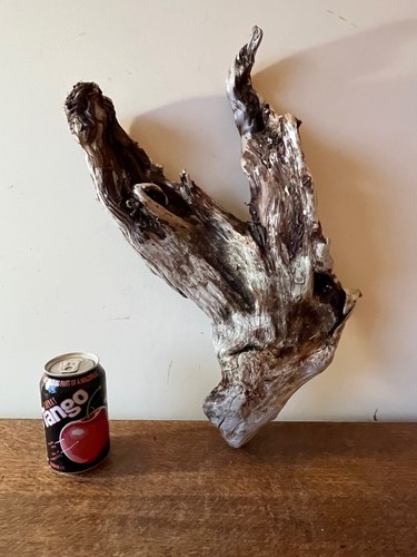 Driftwood piece fan shape - driftwood,