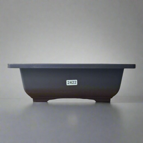 Plastic bonsai training pot - plastic,
