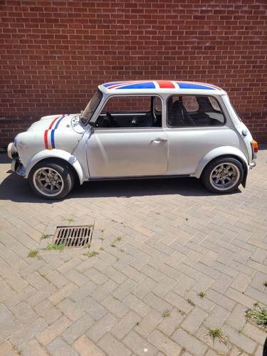 Classic mini rose - mini, d