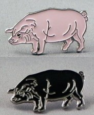 Pig pin badges. Pink or black piglets. Micro. Farm animal. Farming