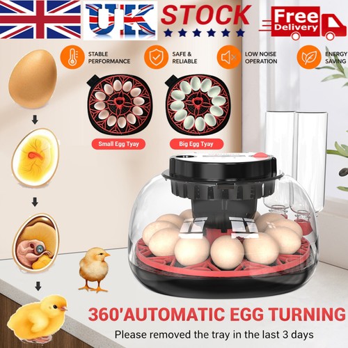 Egg incubator digital - 12,