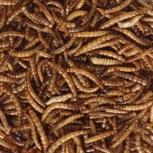 High energy premium dried - high,