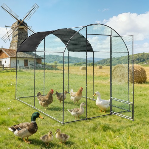 Metal chicken runs walk in - walk,