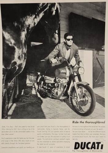 1967 ducati 350 - 1967,
