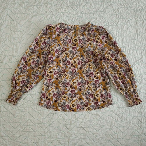 Pleione mustard multicolor - pleione,