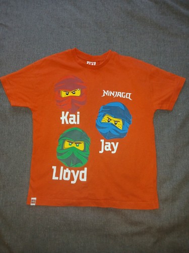 Lego ninjago character print - lego,
