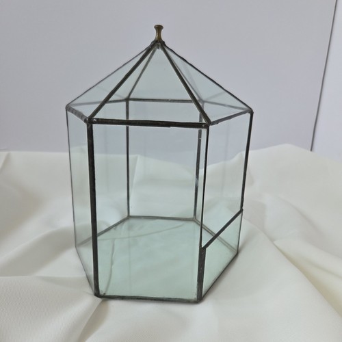 Vintage glass terrarium - vintage,