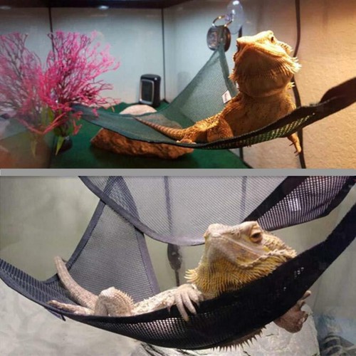 Reptile hammock for eeptile - 2x,
