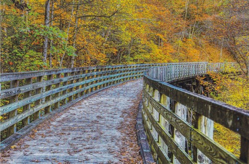 Fall the virginia - fall,