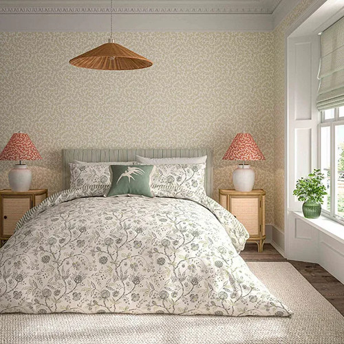 Sanderson options solaine - options,