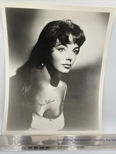 VINTAGE Joan Collins BEAUTY GLAMOUR 50s MGM Publicity Portrait