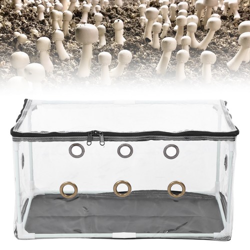 Still air box mushroom - air,