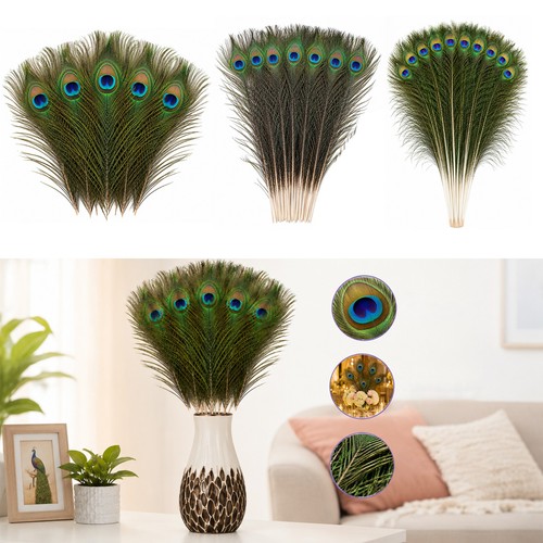Natural peacock tail - tail, feathers