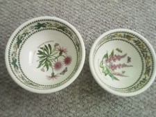 Portmeirion Botanic Garden