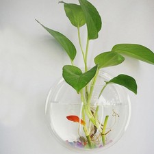 Wall Hanging Fish Tank Wall Mounted Fish Bowl Hanging Acrylic Plant Pot Decor