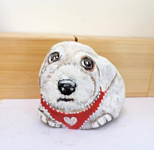 Bichon frise puppy - puppy, hand