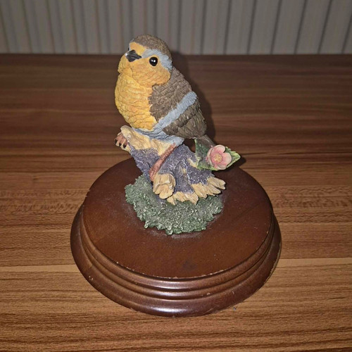 Border fine arts robin - fine, bird