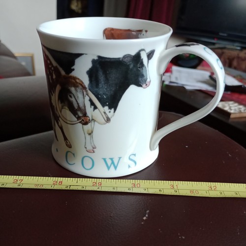 Dunoon pottery fine - dunoon, bone