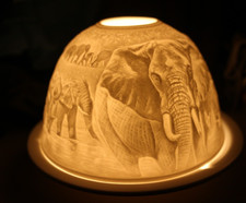 Starlight elephants safari - -, elephants/safari