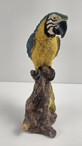 Blue yellow macaw parrot - blue,