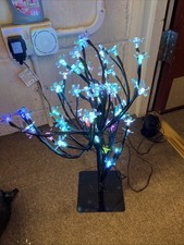 Cherry Blossom Outdoor Tree