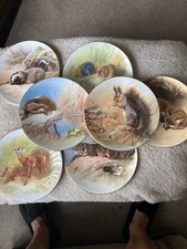 decorative wall plates set,  Royal Worcester