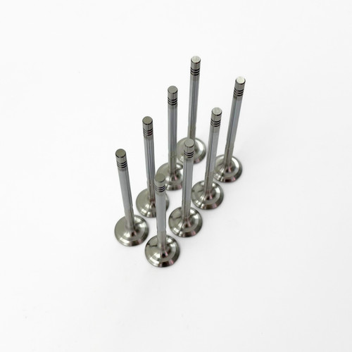 Inlet valves for - for, micra