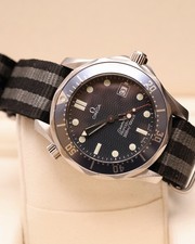 OMEGA Seamaster Professional