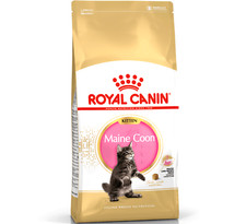 MAINE COON KITTEN - (400g -