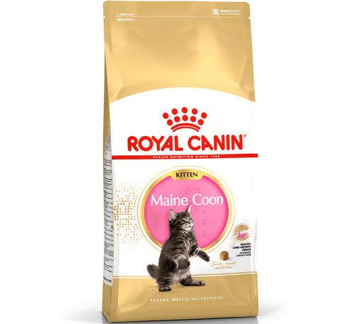 Maine coon kitten 400g - kitten,