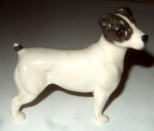 Jack russell terrier beswick - jack,