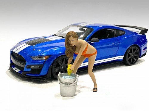 Bikini car wash girl cindy - car,
