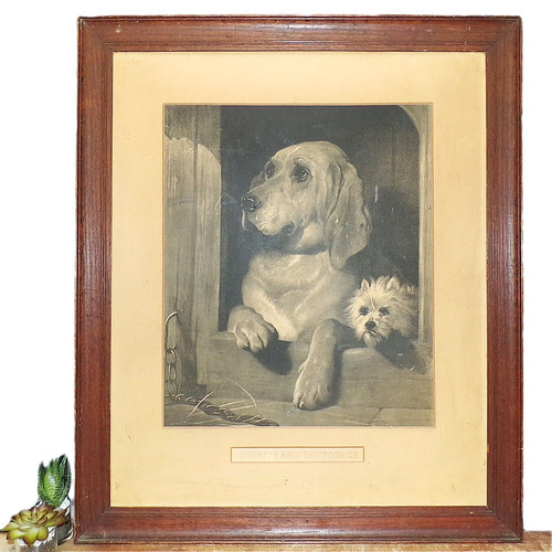 Antique print dog - antique,