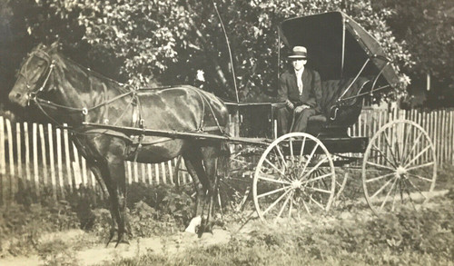Antique rppc horse - antique,