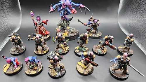 Kill team brood brothers - team:,