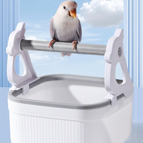 Parrot play stand activity - stand,