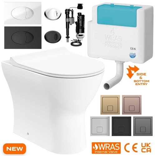 Back wall toilet rimless - toilet,