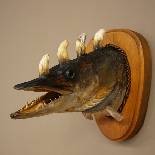 Fischwolpi wolpertinger horned - fischwolpi,