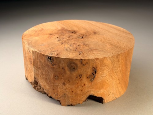 Burr elm wood turning bowl - wood,